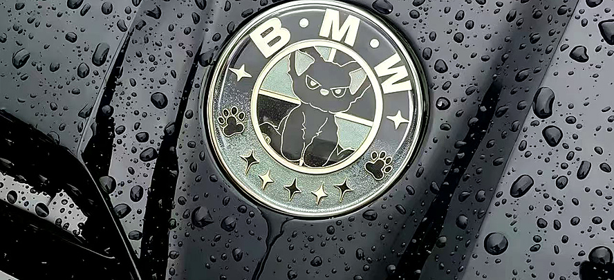 Shield-style custom emblem installed on a grille