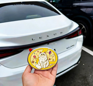 Luxury car with a custom grille emblem